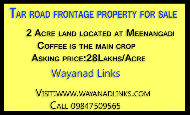 Tar road frontage property for sale Meenangadi Wayanad