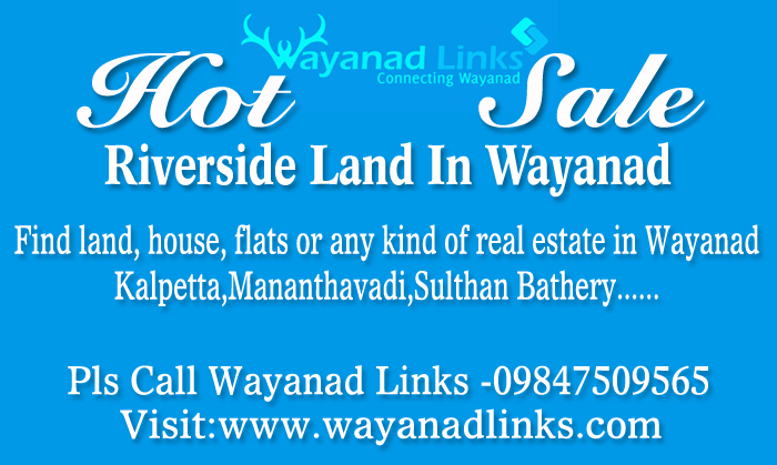 2 Acre 25 Cents Land with House for Sale in Nadavayal, Wayanad