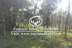 Land for sale wayanad