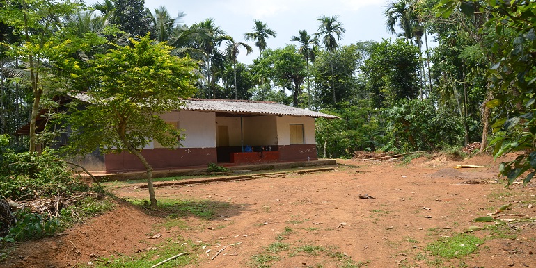 3.2 Acre Water Front Road Side Land for Sale in Panamaram, Wayanad