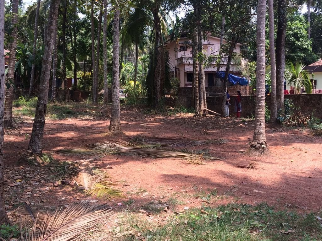 29 Cents of Plain Residential Plot for Sale at Kozhikode