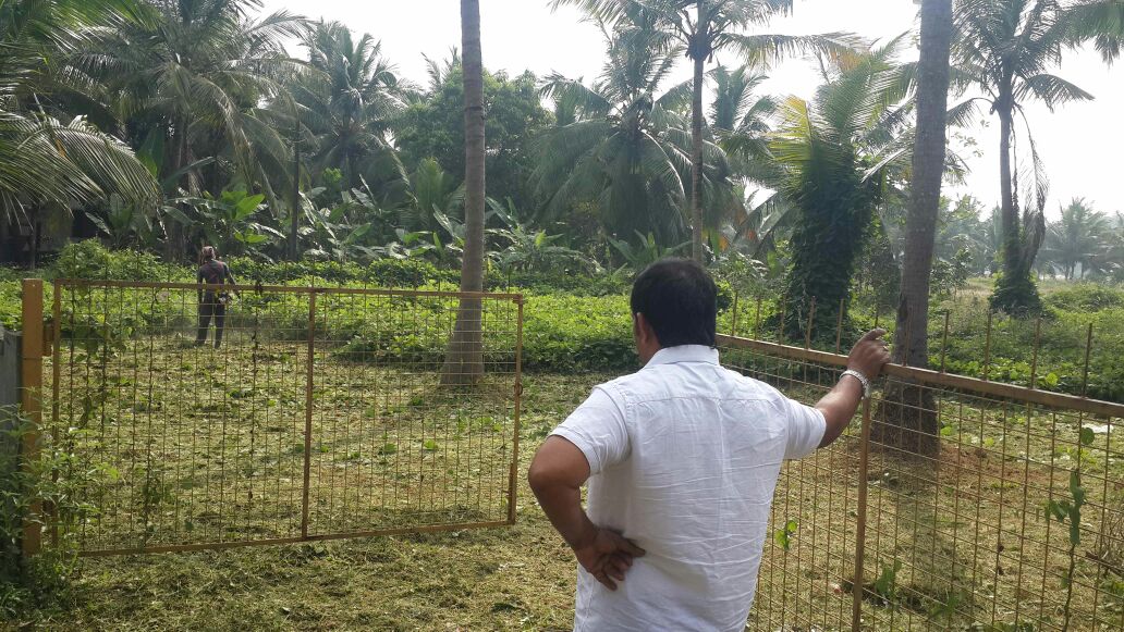 2 Acre Property for Sale Nadathara, Thrissur