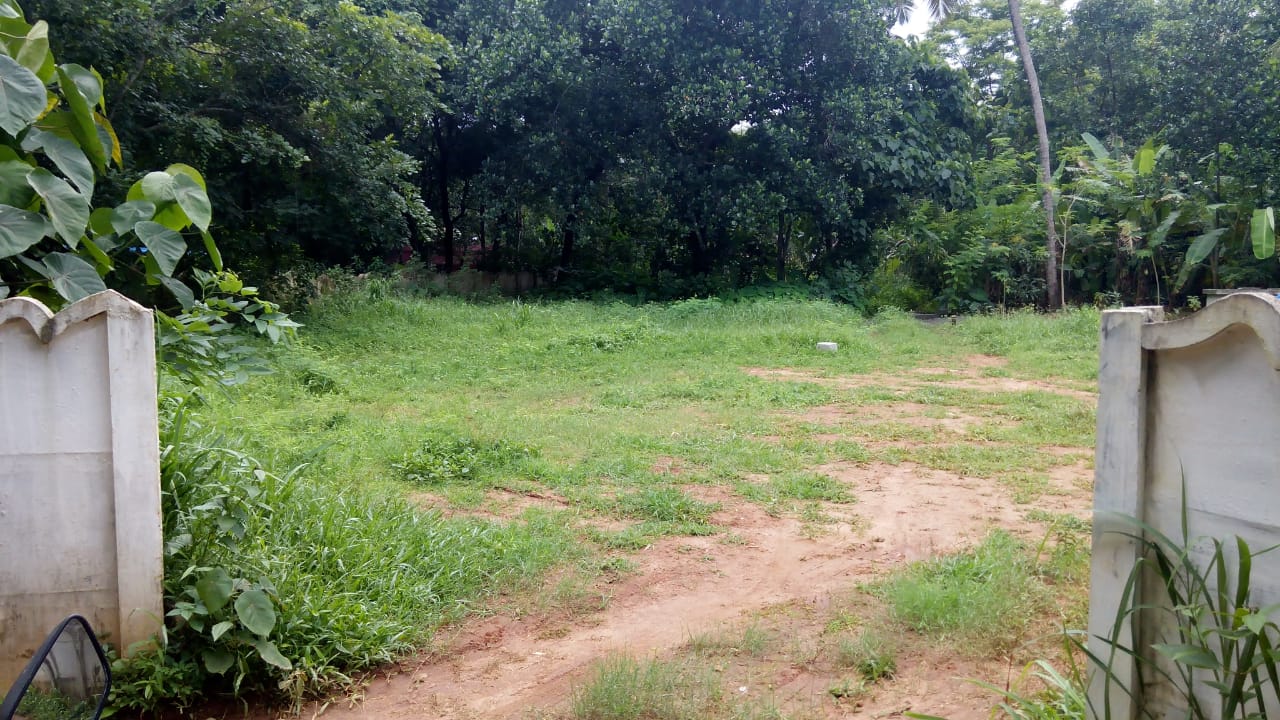 8 Cent land for Sale at Mundur, Thrissur