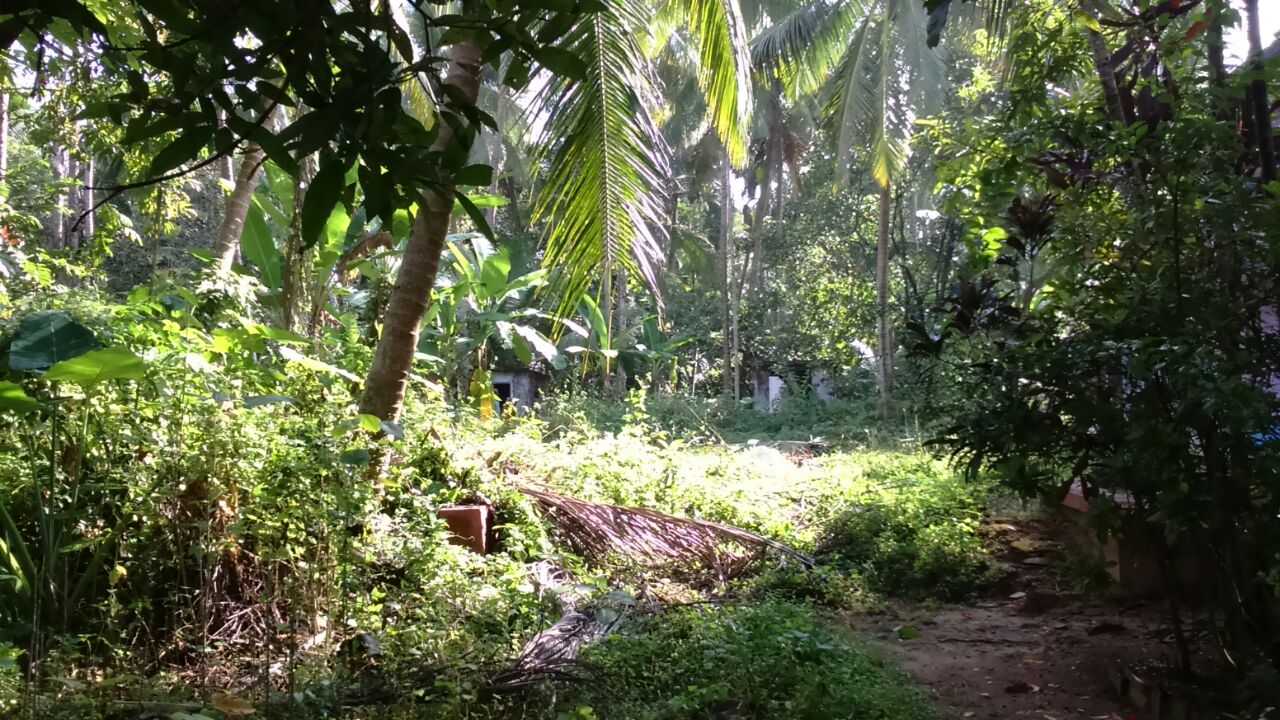 33 Cent Plot for Sale in Uroob nagar ,Arya Nagar, Ponnani Malappuram