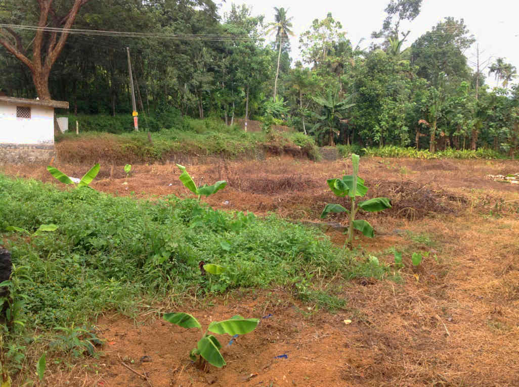 15 Cent Plot For Sale at Karivellur, Onakunnu, Kannur