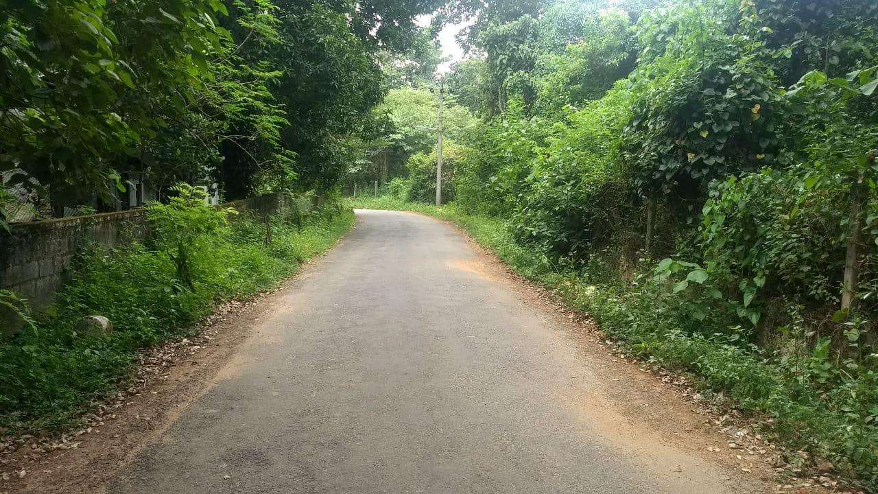 38 Cents Plot For Sale Near Manitara Community Hall Thrissur (Part/Full Sale)