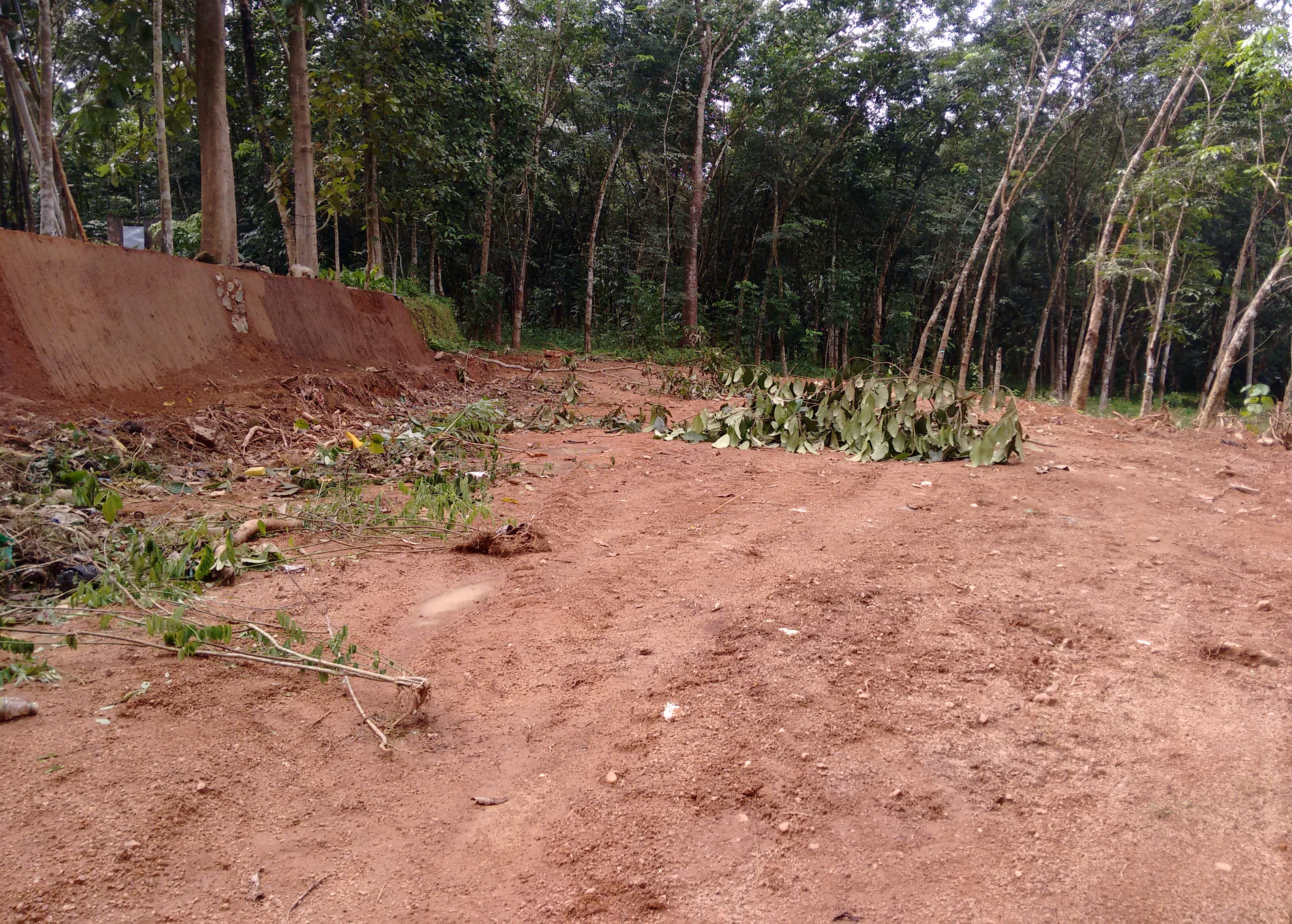 10 Cent Land for Sale Near Thevalappuram, Parayil Jn. Puthoor
