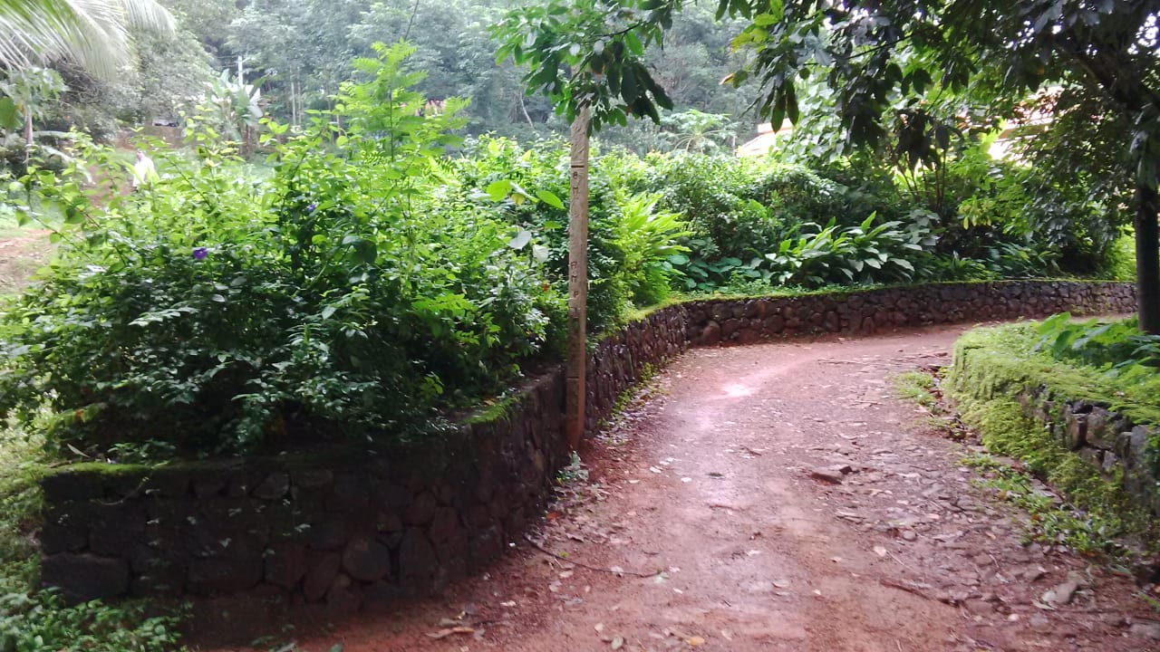 24 Cents Residential Plot For Sale Near Ernakulam