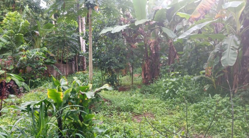 006c4291-6bfb-4b38-8869-aab9f27eef72