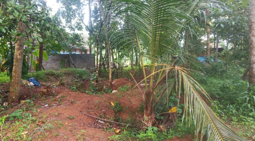 0d836606-f87a-4be0-add5-c591a86576c1