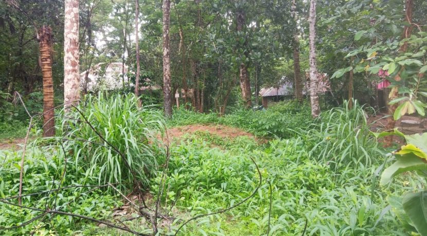 14d247bc-007e-4452-8cd0-af8cacb44370