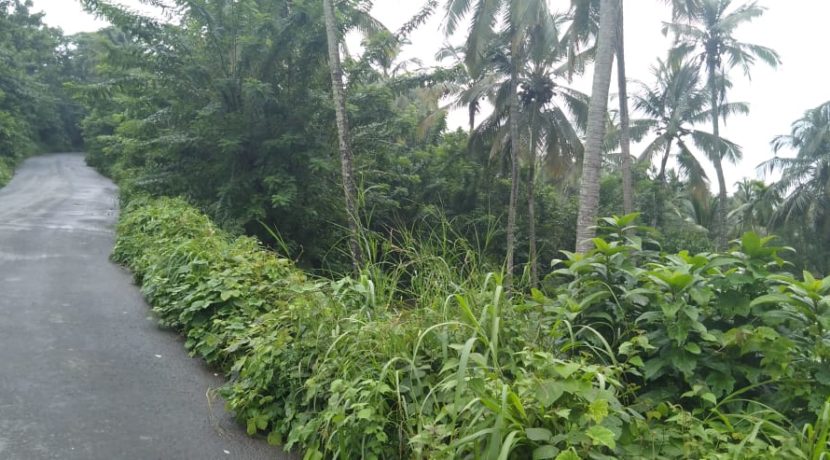 98e657f7-8344-4a44-b55d-3fec6bc124d7