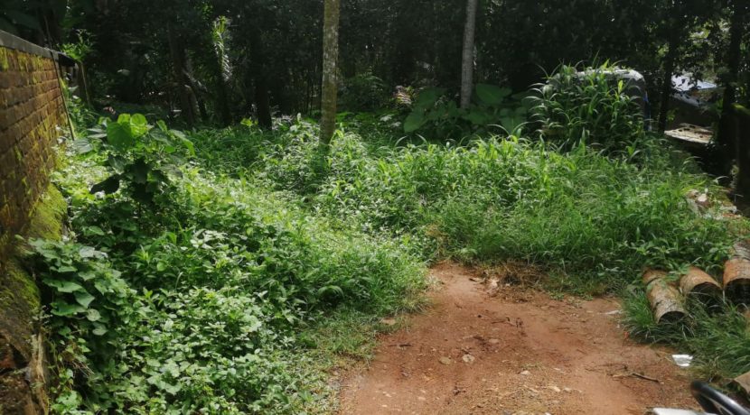 d4c9fb02-f51a-469b-b969-e2e1951f62c8