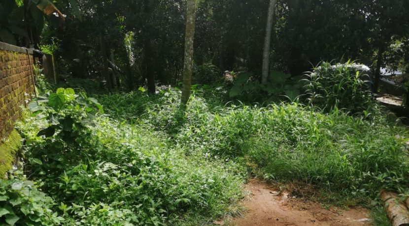 ecbf09c8-7aab-460d-b193-00c124873eeb