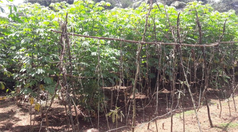 WhatsApp Image 2019-10-03 at 11.58.12 AM