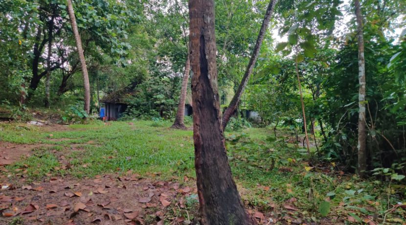 WhatsApp Image 2019-10-16 at 11.24.37 PM (1)