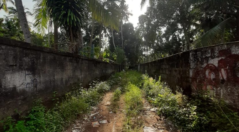 WhatsApp Image 2019-12-15 at 3.25.03 PM