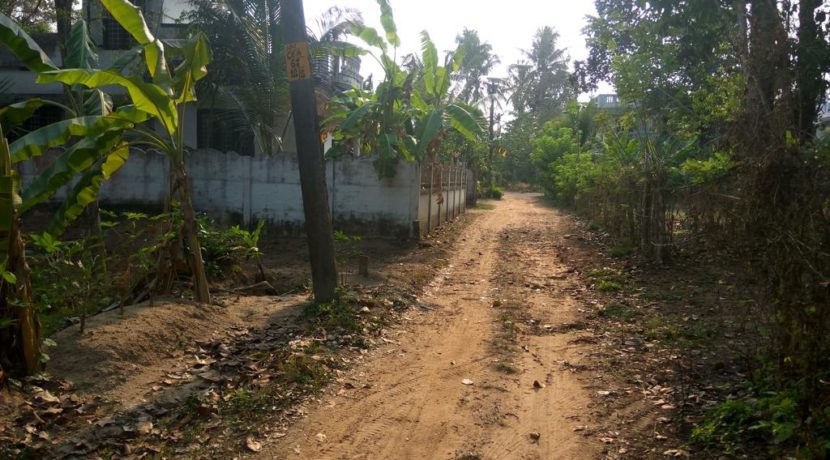 05 way_to_colony_o_w (1)