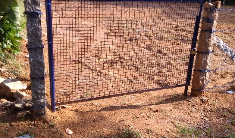 D977D39D-BD3B-4A40-B803-A7A186017007