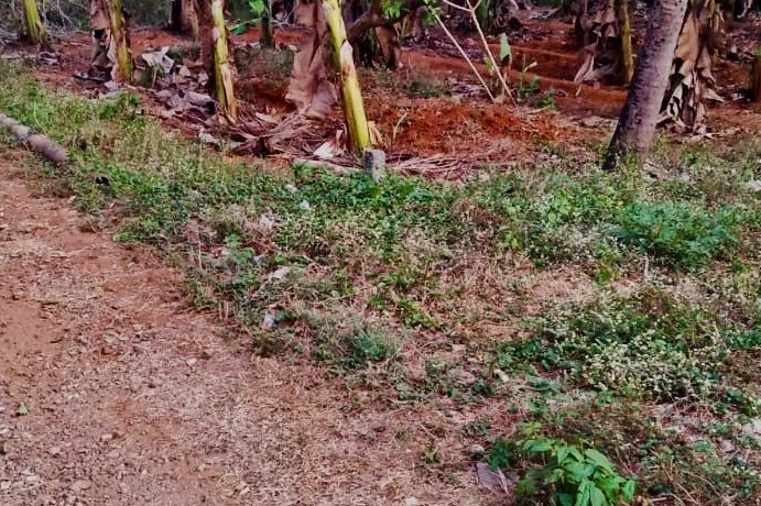 DBBDF86C-CDEC-4654-A064-423073AEA248