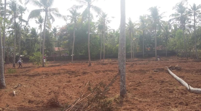 1A3D1A95-E810-4D17-9803-1ACE92C608EA