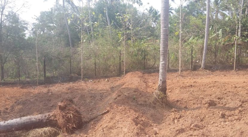 8BDEBC61-2C23-4452-AF5B-FB07E0EAF54D