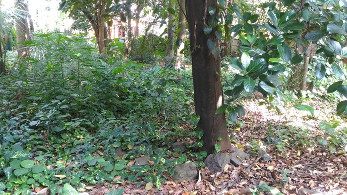 RESIDENTIAL LAND FOR SALE IN KOORKENCHERY