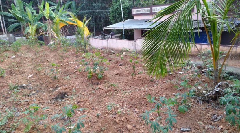 ABBD1D28-F291-47C9-BF32-FAD238461D33