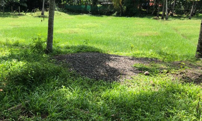 WhatsApp Image 2020-06-05 at 1.38.23 AM (5)