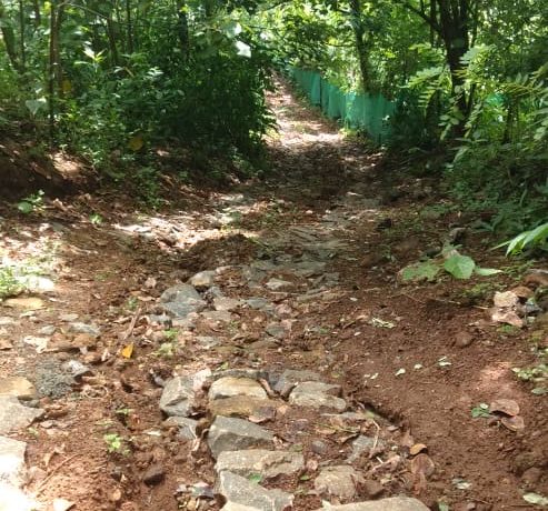 07d277df-36aa-4c0e-b906-7b7dfd80c9d3 2