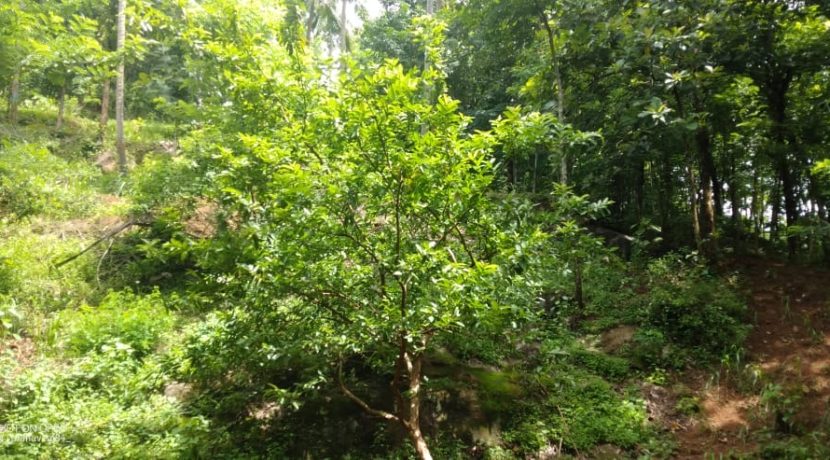 302e2e36-df0e-4678-93cd-bb81719bb141 3