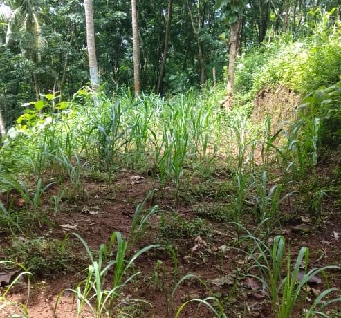 34502e09-a60e-458c-80a0-32a73189a743