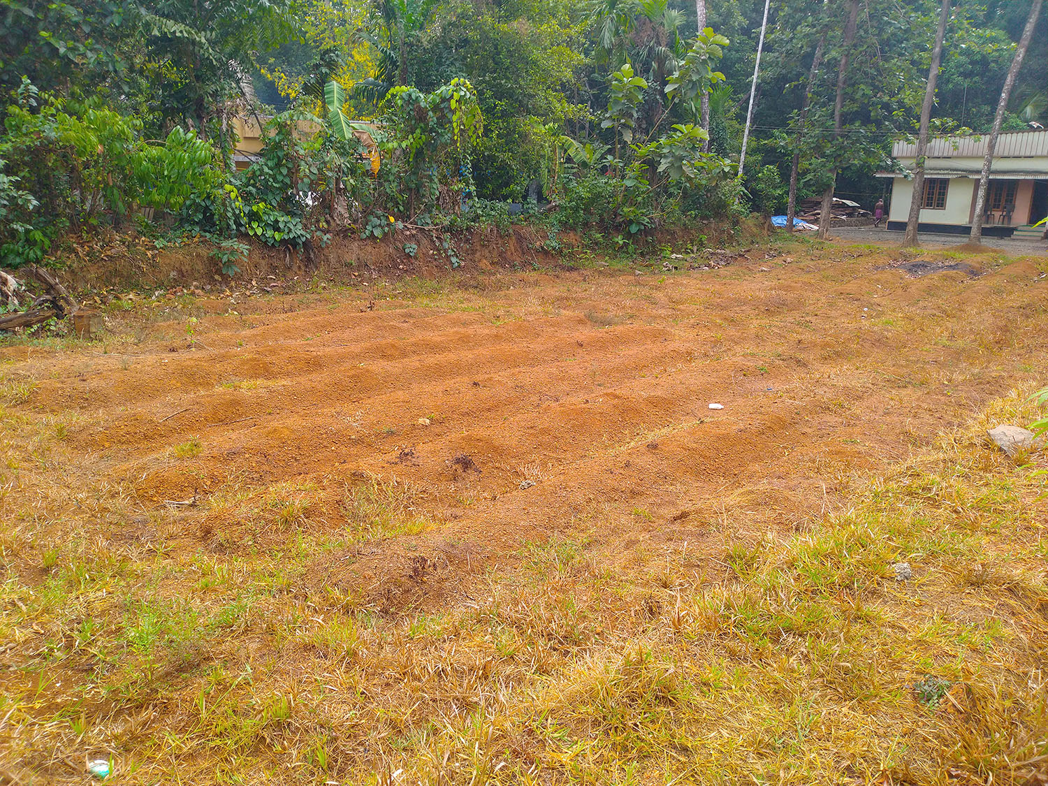 10 cent Residential Land for Sale Near Perumbavoor, Kerala