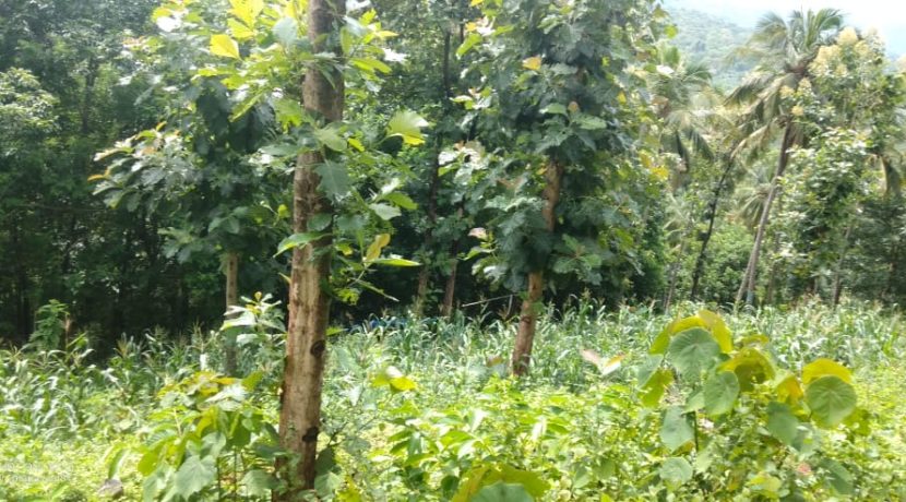 e5f5ebf5-1927-4582-8a93-22240256c8be 2