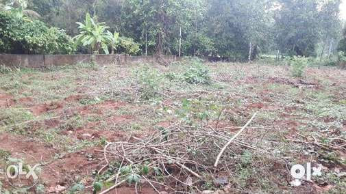 EXCELLENT HOUSE PLOT FOR SALE AT MUDIKKARAI JUNCTION NEAR KURUPPAMPADY