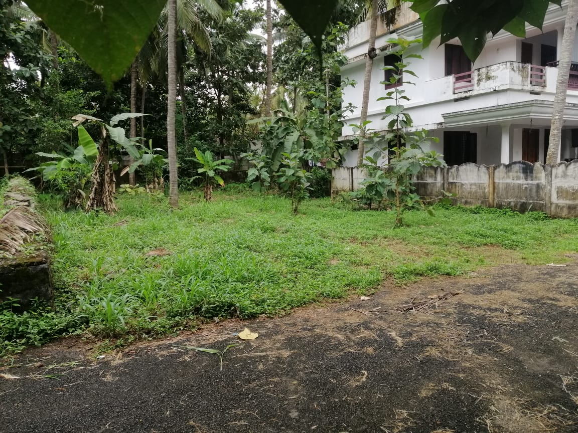 Residential land for sale Mannuthy.