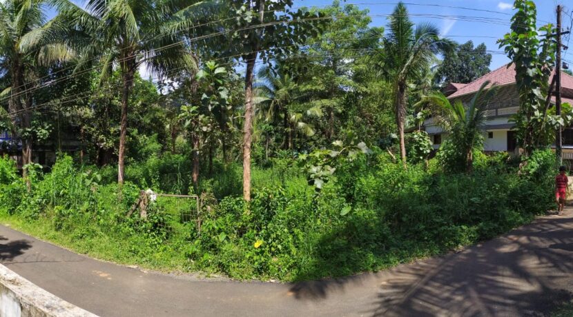 WhatsApp Image 2020-09-27 at 2.59.18 PM