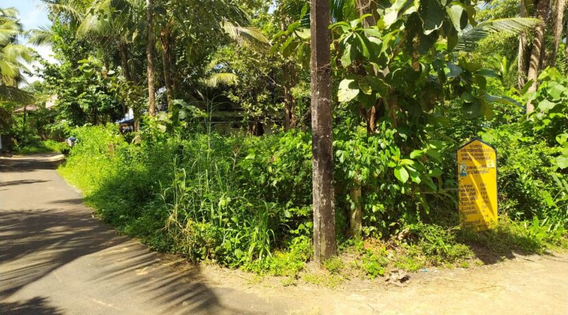 WhatsApp Image 2020-09-27 at 2.59.19 PM (1)