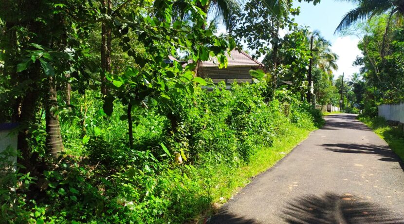 WhatsApp Image 2020-09-27 at 2.59.23 PM