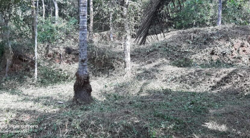 8c73f1f5-ae79-4e93-885a-da94f2a8bab0