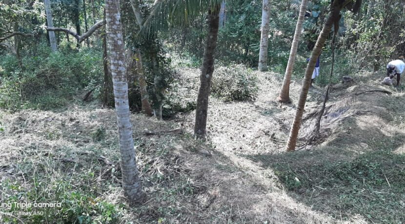 bbaf4d17-bd51-40a9-a455-8e1ee2998dfd