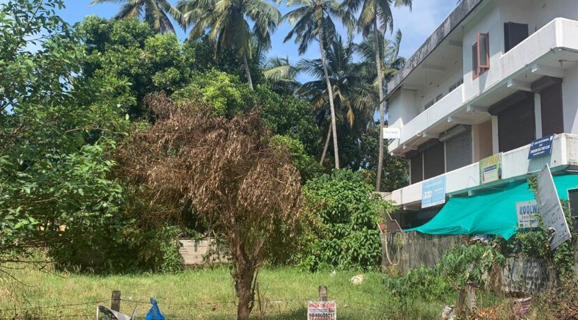 chelakottukara 13 cent 2