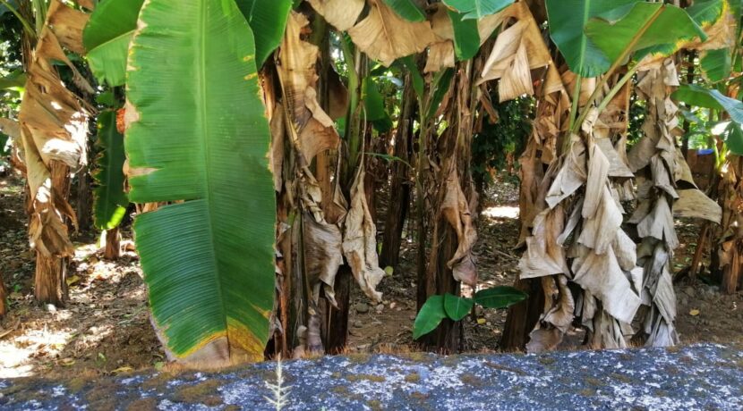 dd55687a-3f4d-4e8d-bb0e-0cb917326d01