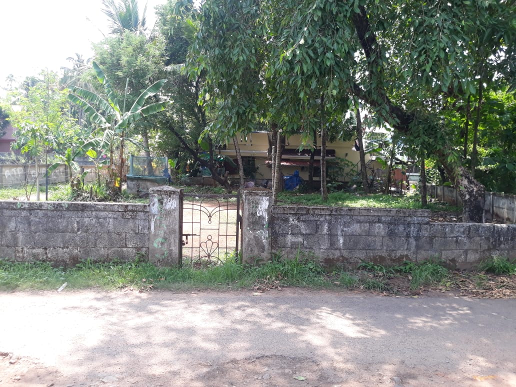 8 cents Land for sale in Ollur, Thrissur.