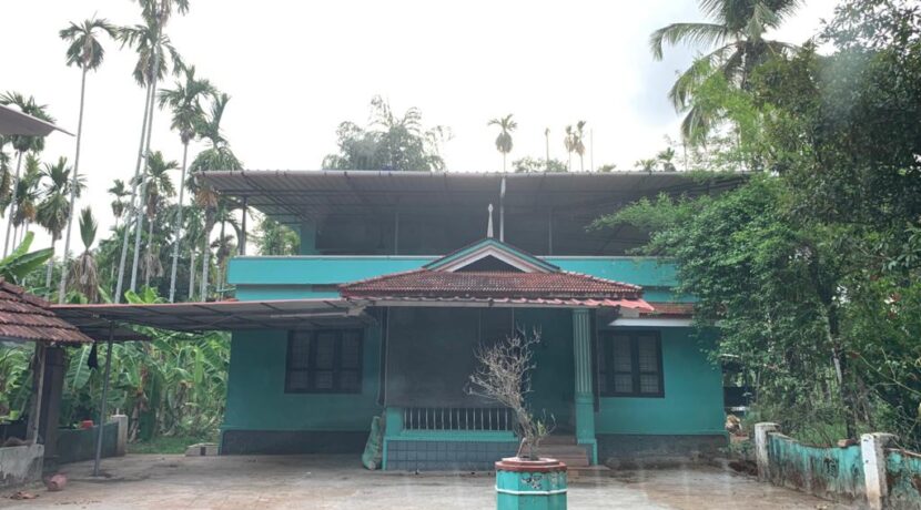 13256822-7786-46a2-998f-18bca631aaa4