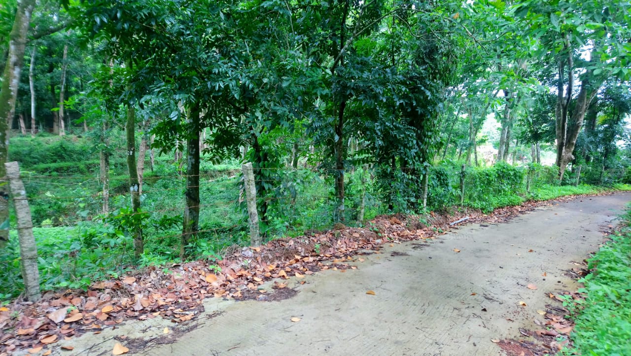 Land for Sale in Kalathipady,Kottayam