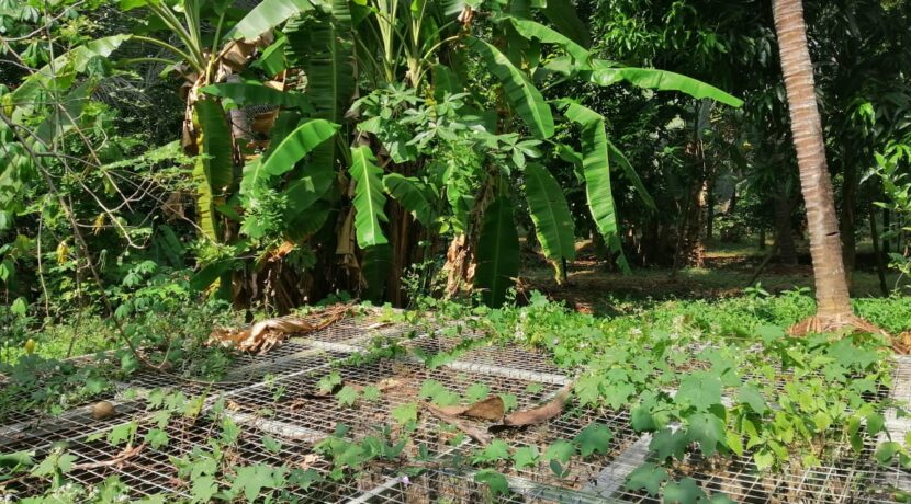 776aaa52-a45e-430a-b351-e6cb82c26992