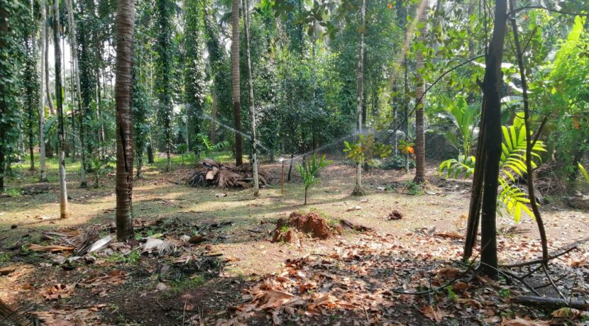 a487ce3b-feeb-488d-b1bb-a8392ff64e30