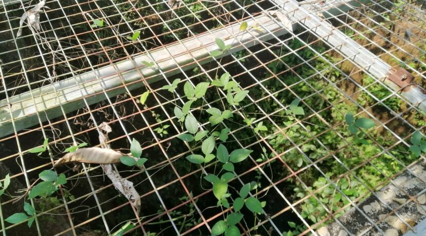 cc426a58-486d-4db2-b2b4-a702ad5adfa7