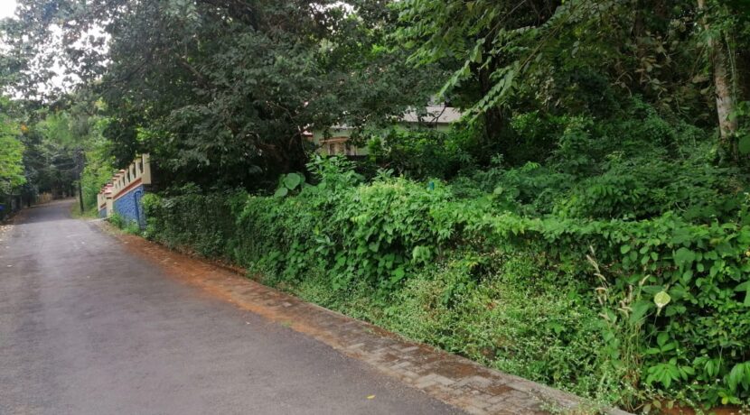 e4cd6bf3-1124-41f7-95a2-72b5b2b978da